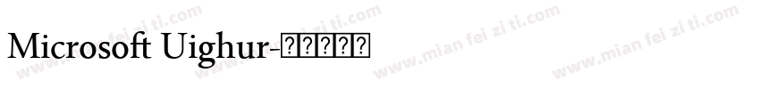 Microsoft Uighur字体转换